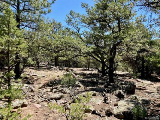 600 N GOLD MINE OVERLOOK, CRESTONE, CO 81131, photo 4 of 11