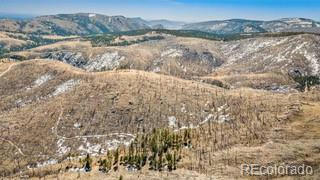 RIST CREEK ROAD, BELLVUE, CO 80512, photo 4 of 18
