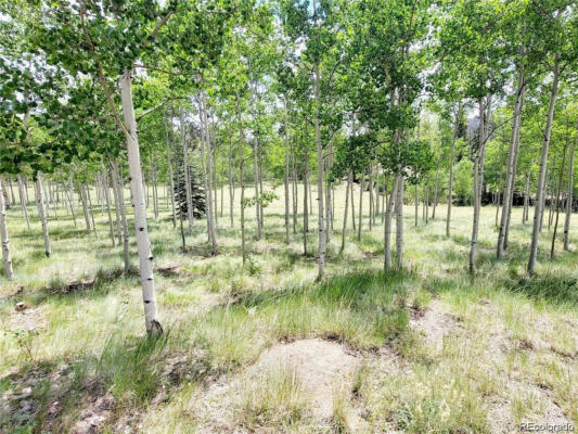 1530 SWIGGLER RD, COMO, CO 80456 - Image 1