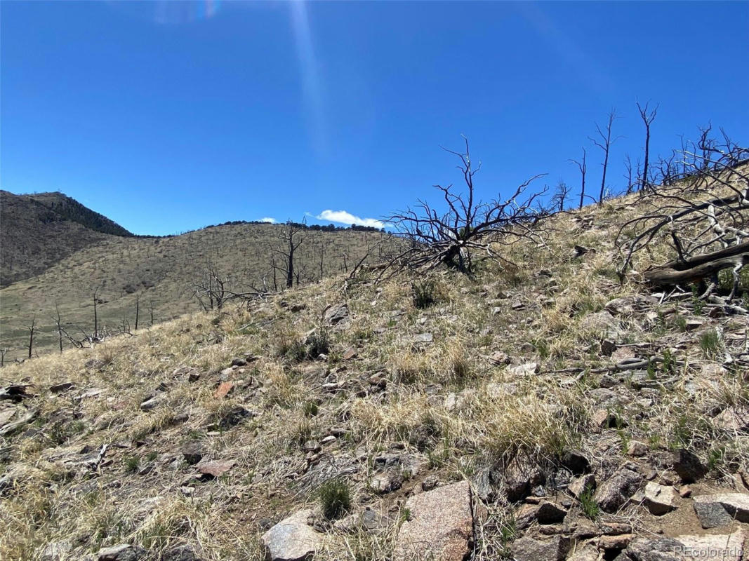 TR 112 25TH TRAIL, COTOPAXI, CO 81223, photo 1 of 31