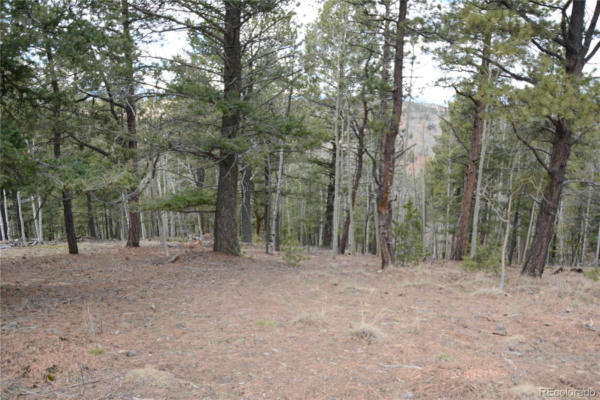 1399 MAY QUEEN DR, CRIPPLE CREEK, CO 80813, photo 4 of 6