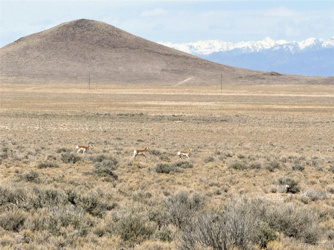 LOT 27 COUNTY ROAD 45, BLANCA, CO 81133, photo 1 of 11