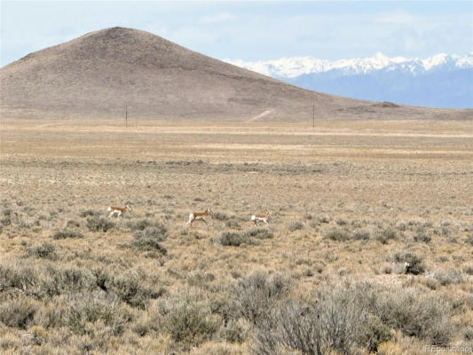 LOT 27 COUNTY ROAD 45, BLANCA, CO 81133 - Image 1