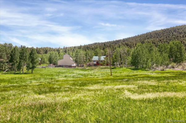 743 S PINE DR, BAILEY, CO 80421 - Image 1