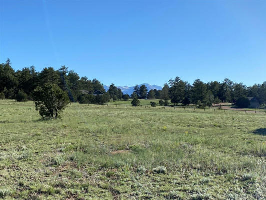 239 WENDY DR, COTOPAXI, CO 81223 - Image 1