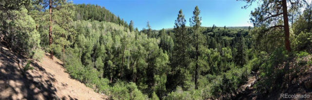 TBD BEEF TRAIL ROAD, PLACERVILLE, CO 81430, photo 4 of 18