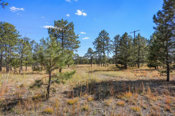 12196 GOODSON RD, COLORADO SPRINGS, CO 80908, photo 3 of 14