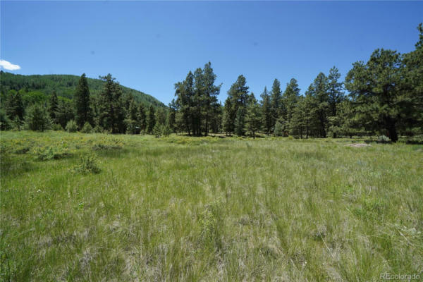 136 ELK MEADOW RUN, ANTONITO, CO 81120 - Image 1