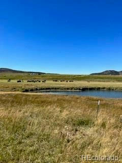 1001 COUNTY ROAD 36, MEEKER, CO 81641, photo 5 of 7