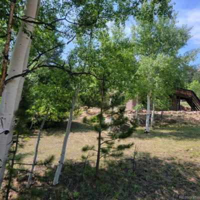 109 KIOWA TRL, LAKE GEORGE, CO 80827 - Image 1