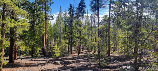 475 BIRCH DR, TWIN LAKES, CO 81251 - Image 1