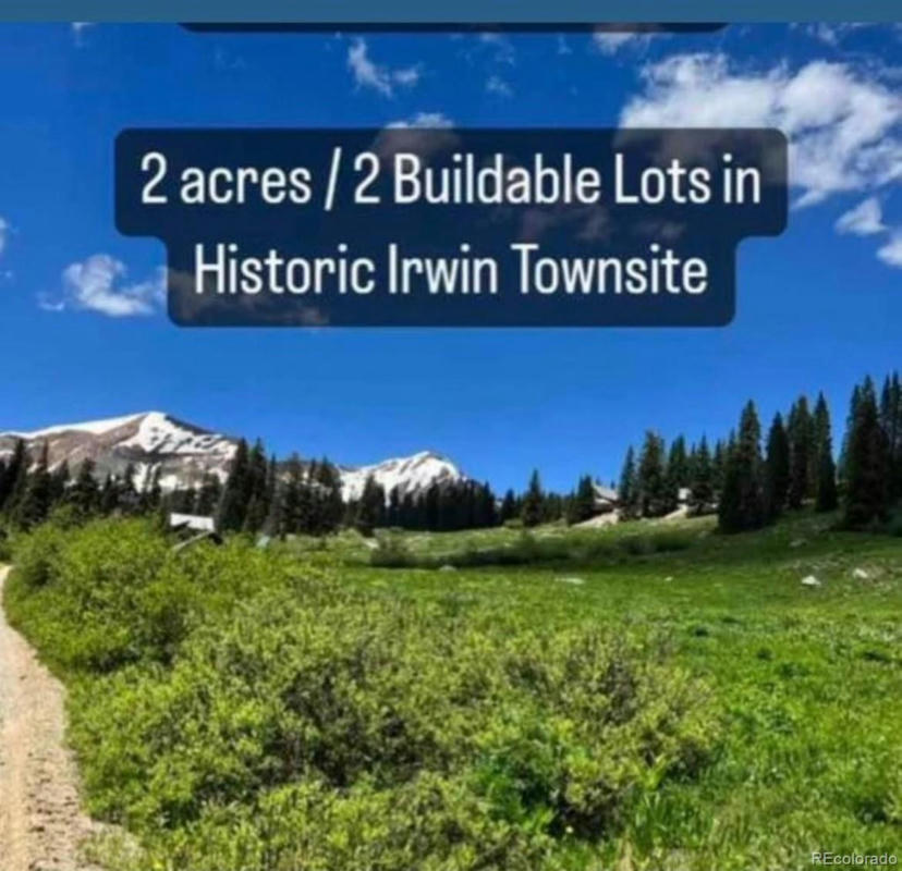 10TH 10TH STREET STREET, CRESTED BUTTE, CO 81224, photo 1