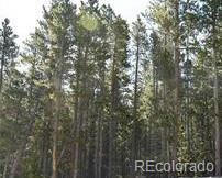 000 UPPER ARMSTRONG GULCH ROAD, PITKIN, CO 81241, photo 1