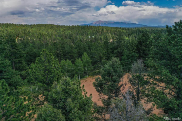 449 WOODY CREEK ROAD, FLORISSANT, CO 80816, photo 3 of 25