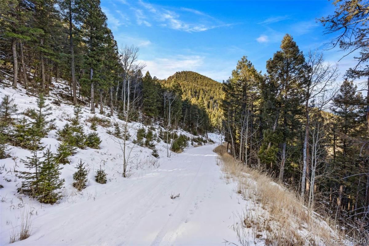WHITE CLOUD ROAD, CONIFER, CO 80433, photo 1 of 15