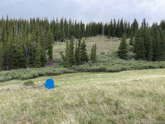 FOREST ROAD 450, ALMA, CO 80420 - Image 1