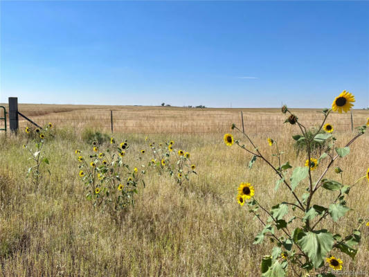 46850 COUNTY ROAD 46, LIMON, CO 80828 - Image 1