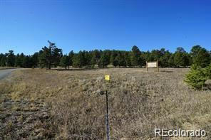 483 COUNTY ROAD 43 # A, BAILEY, CO 80421, photo 1 of 2
