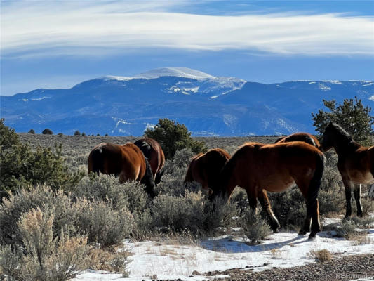 80 ACRES ELK LANE, SAN LUIS, CO 81152 - Image 1