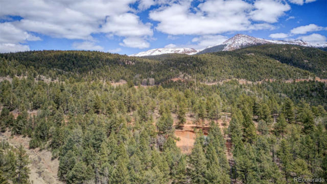 221 VALLEY RD, DIVIDE, CO 80814, photo 3 of 11