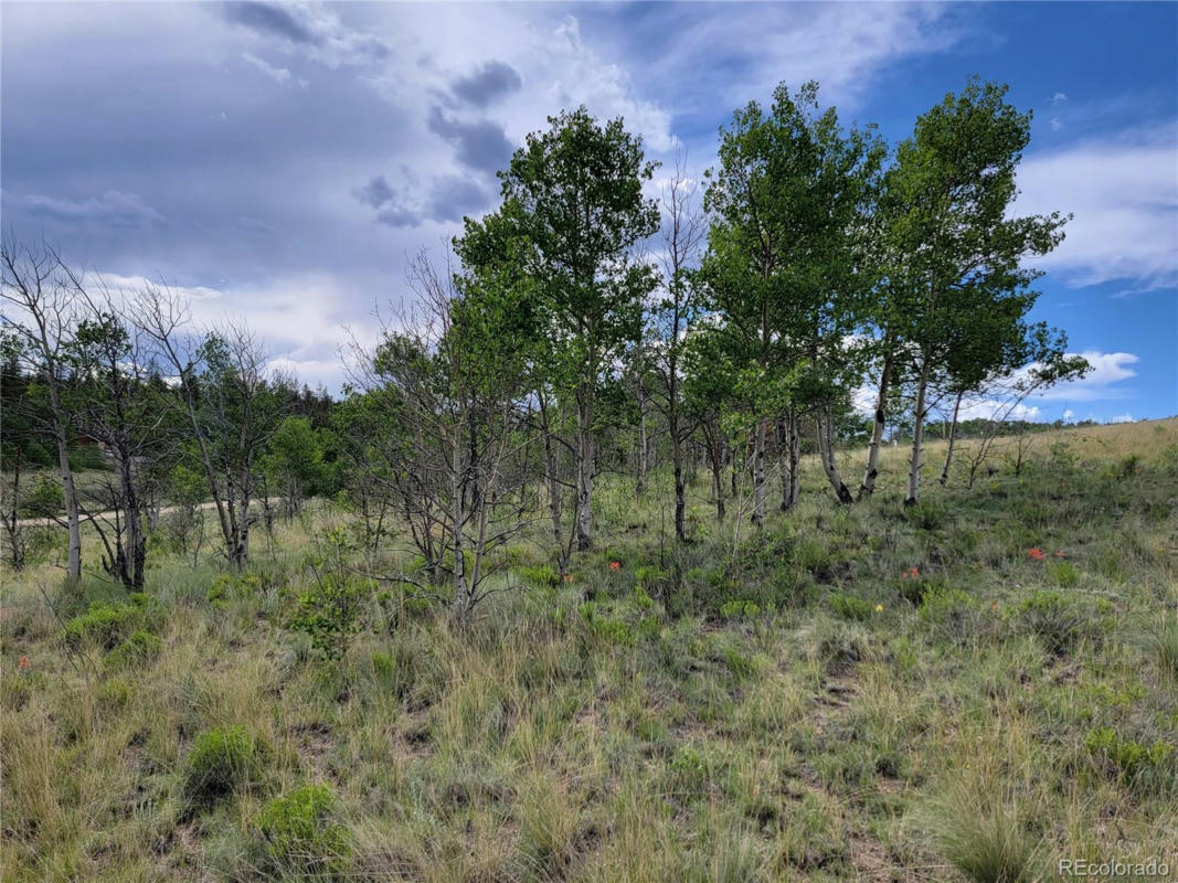 215 MUSTANG TRL, COMO, CO 80432, photo 1 of 15