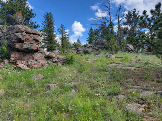 1266 CROW RD, RED FEATHER LAKES, CO 80545 - Image 1