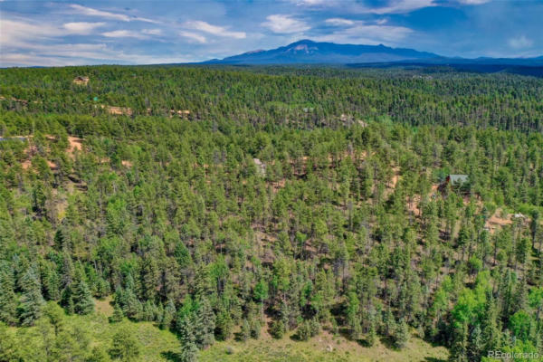 449 WOODY CREEK ROAD, FLORISSANT, CO 80816, photo 5 of 25