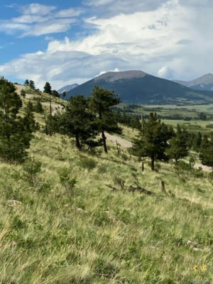 000 MIDDLE FORK VISTA LOT 487, FAIRPLAY, CO 80440, photo 4 of 10