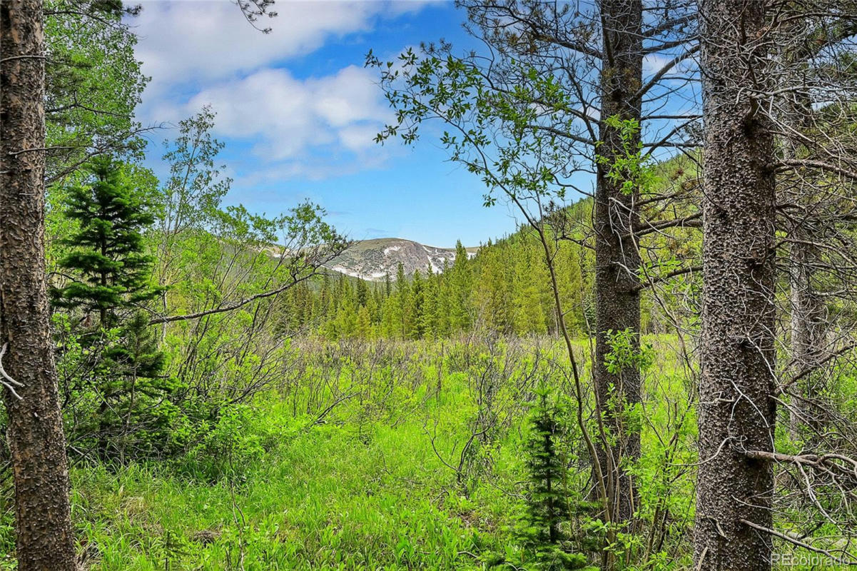 7 SILVER CREEK RD, IDAHO SPRINGS, CO 80452, photo 1 of 22