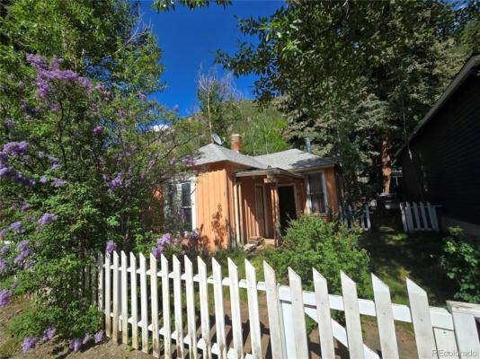 1010 TAOS ST, GEORGETOWN, CO 80444 - Image 1