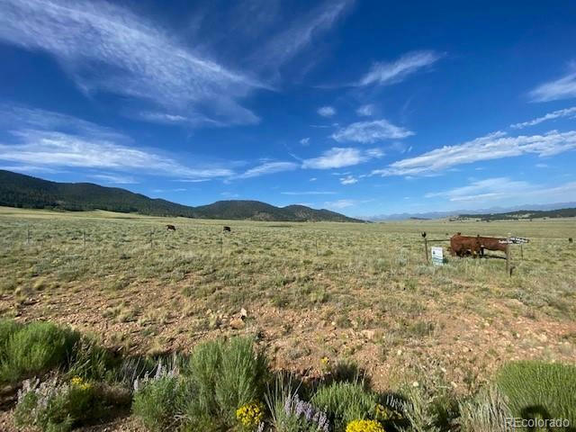 EAGLE'S GATE RD ROAD, WESTCLIFFE, CO 81252, photo 1 of 12