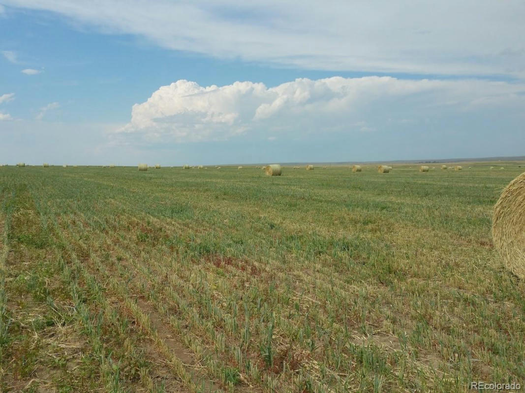 TBD COUNTY ROAD 162, AGATE, CO 80101, photo 1 of 8