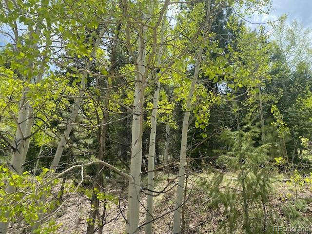 88 N FORK RD, GRANT, CO 80448, photo 1 of 18