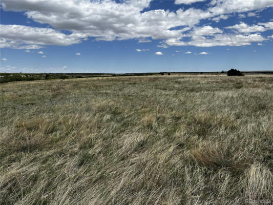 LOT 142 TBD FORT GERRY DRIVE, COLORADO CITY, CO 81019, photo 4 of 19