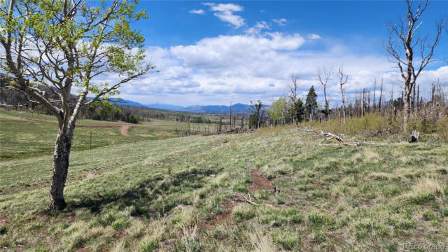 2334 WOHLSTETTER LOOP, FORT GARLAND, CO 81133 - Image 1