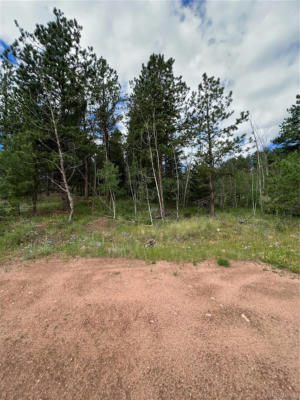 286 CAMPBELL LN, FLORISSANT, CO 80816, photo 4 of 36