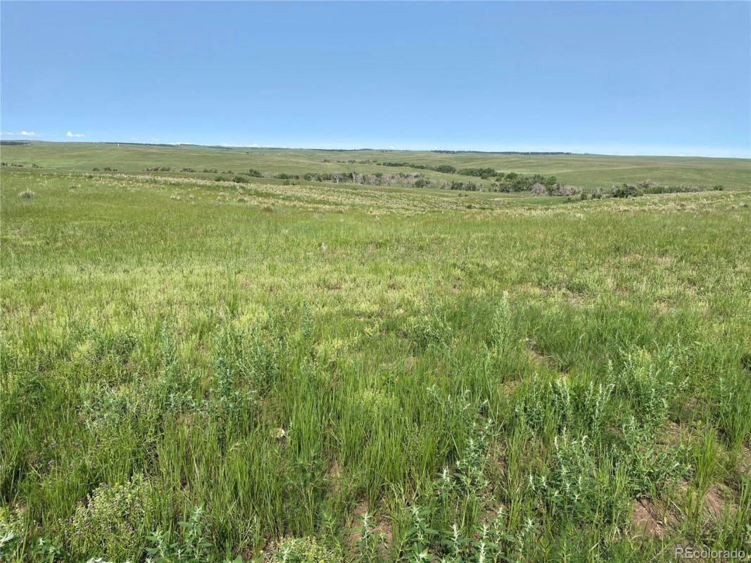 C COUNTY ROAD 166, AGATE, CO 80105, photo 1 of 17