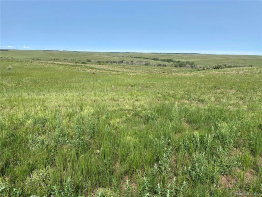 C COUNTY ROAD 166, AGATE, CO 80105 - Image 1