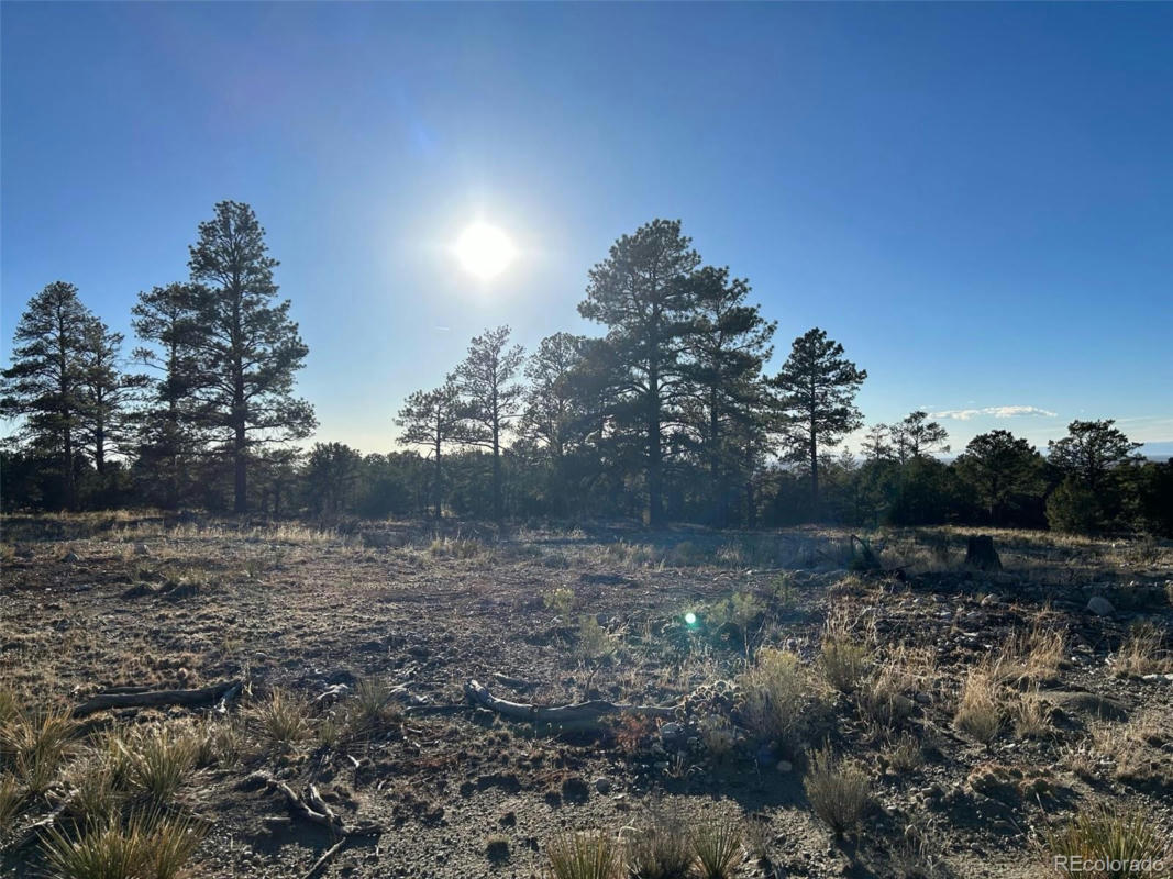 CONEJOS PLACE, MOSCA, CO 81146, photo 1 of 20