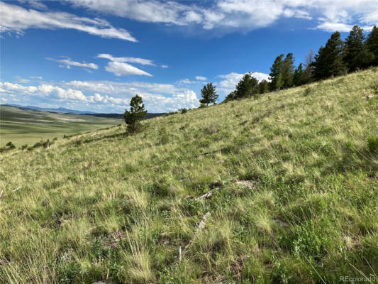 000 MIDDLE FORK VISTA LOT 487, FAIRPLAY, CO 80440, photo 5 of 10