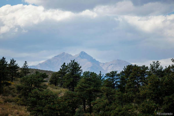 603 INDIAN LOOKOUT RD, LYONS, CO 80540, photo 3 of 32