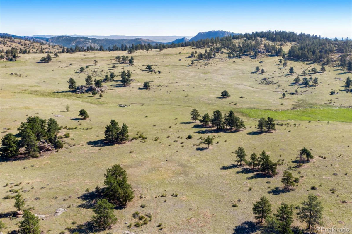 0 RED FEATHER LAKES RD. LOT 20, LIVERMORE, CO 80536, photo 1 of 33