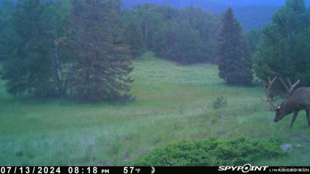 TBD CR 575.1, GARDNER, CO 81040 - Image 1