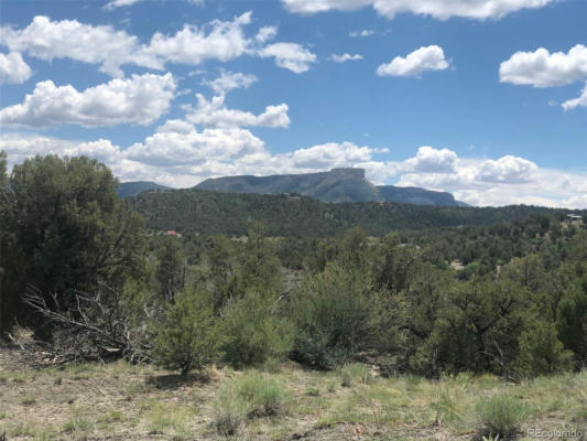 10383 ROAD 36.7, MANCOS, CO 81328 - Image 1