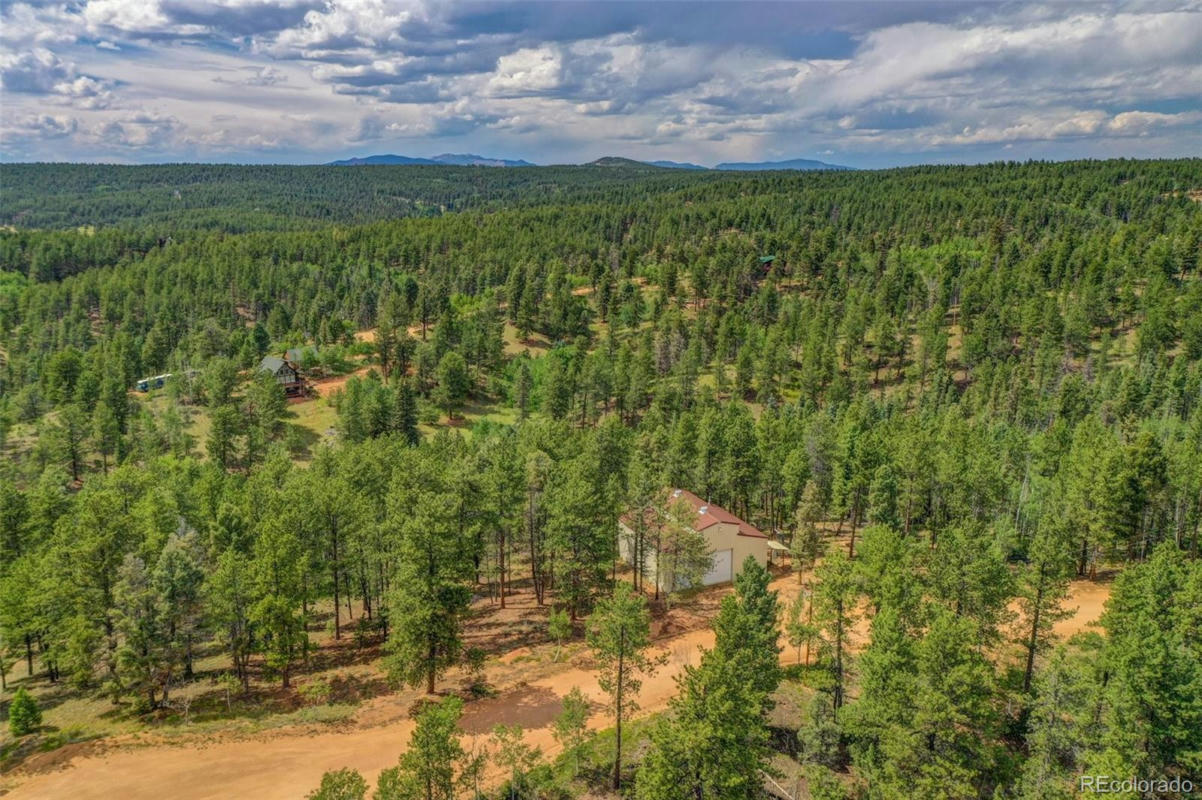 449 WOODY CREEK ROAD, FLORISSANT, CO 80816, photo 1 of 25