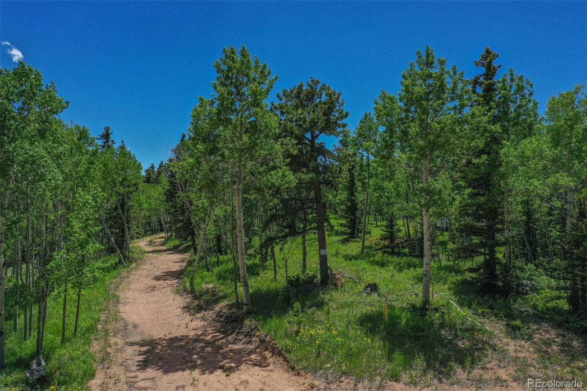 228 WORLEY RD, DIVIDE, CO 80814, photo 1 of 5