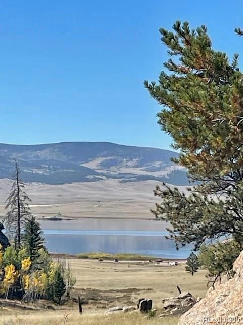 274 WHALE DR, LAKE GEORGE, CO 80827, photo 1 of 31