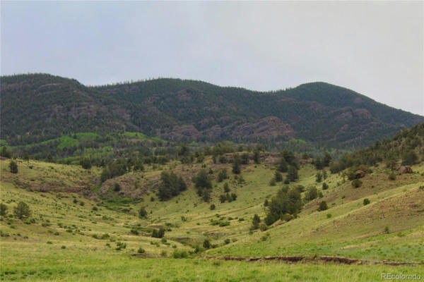 10290 STATE HIGHWAY 9, GUFFEY, CO 80820 - Image 1