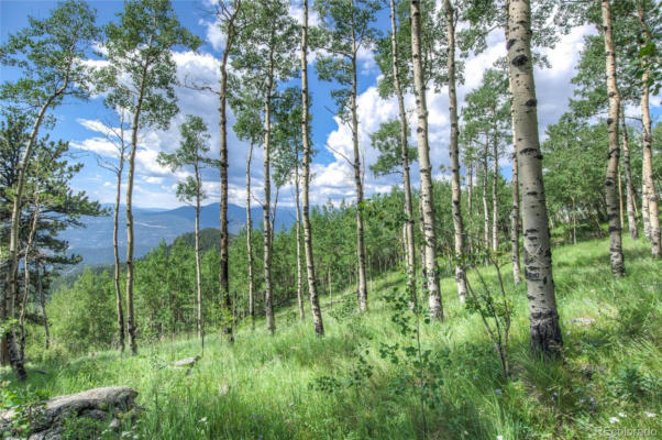 1701 ROBINSON HILL RD LOT 6, GOLDEN, CO 80403, photo 4 of 44