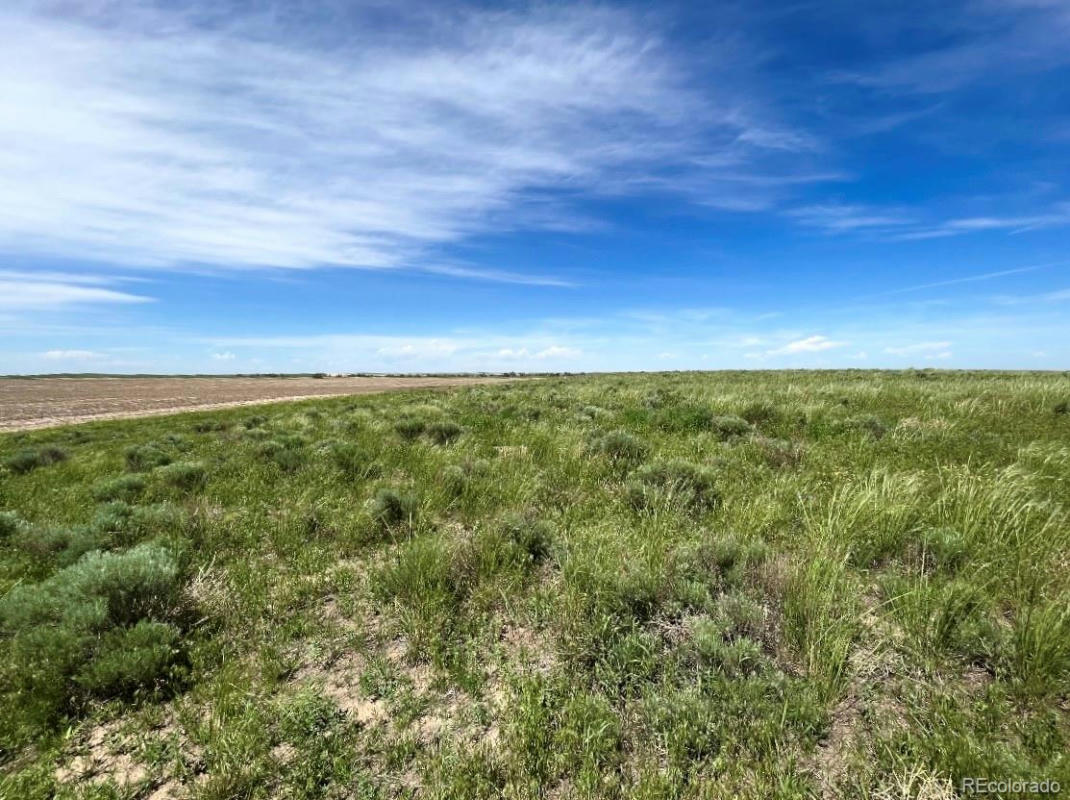PARCEL 2 MIMOSA ROAD, BYERS, CO 80103, photo 1 of 4